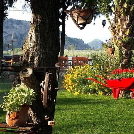 Hotel Happy Caretta Dalyan Eksteriør billede