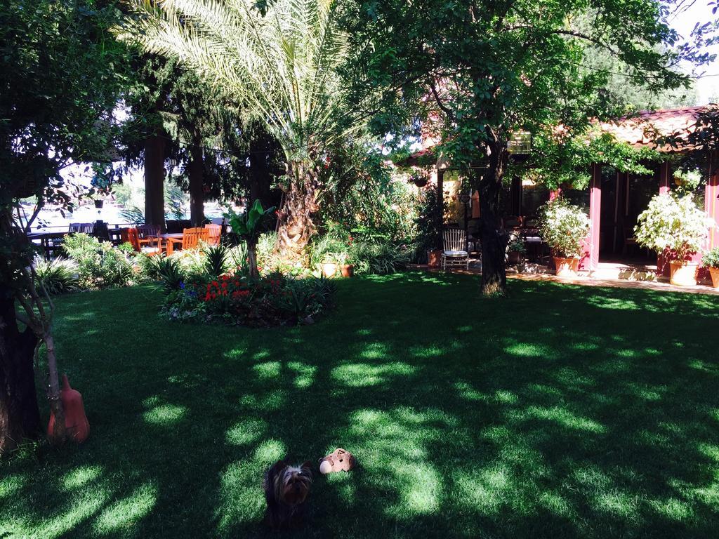 Hotel Happy Caretta Dalyan Eksteriør billede